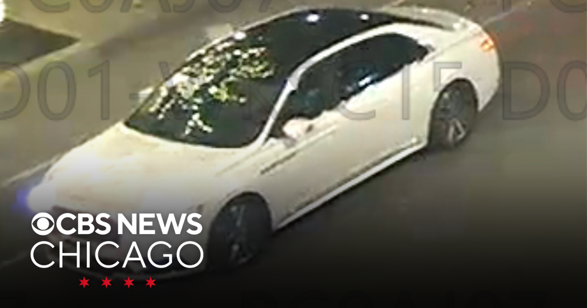 CPD seek car in fatal DuSable Lake Shore Drive hit-and-run - CBS Chicago