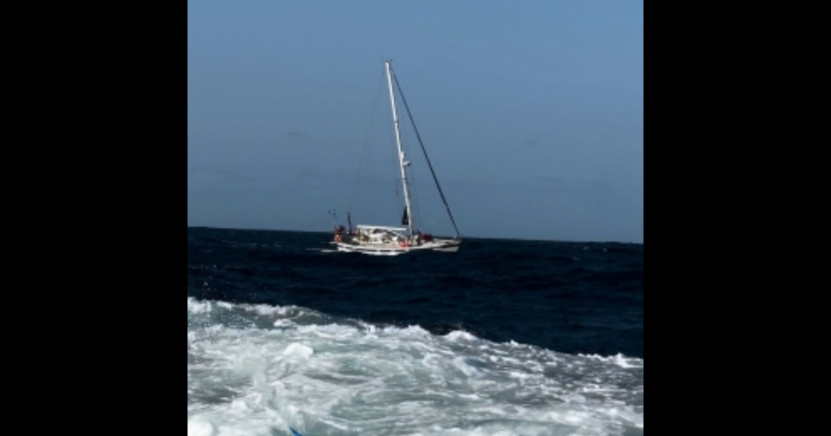 Schwertwale greifen ein anderes Segelboot vor Spanien an und lösen eine komplexe Rettungsaktion aus, bei der ein Besatzungsmitglied verletzt wird.