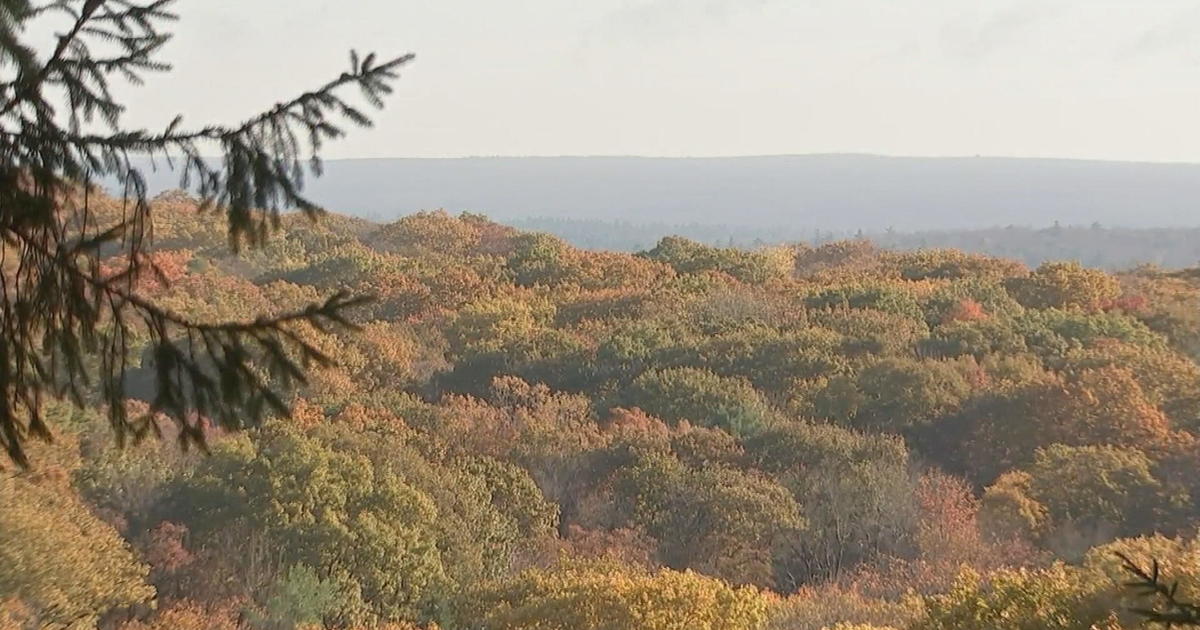 Bucks County, Pennsylvania is the best place in the U.S. to see fall foliage, according to Priceline