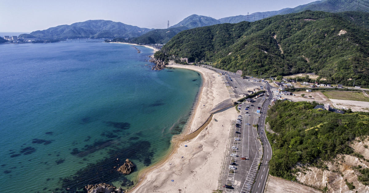 18 beachgoers in Japan bitten by "usually calm" dolphins this year