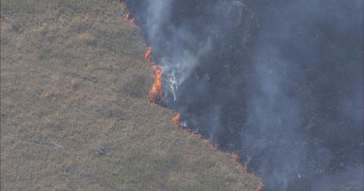 Emergency crews battle bushfires near the Denver Water treatment plant in Roxborough