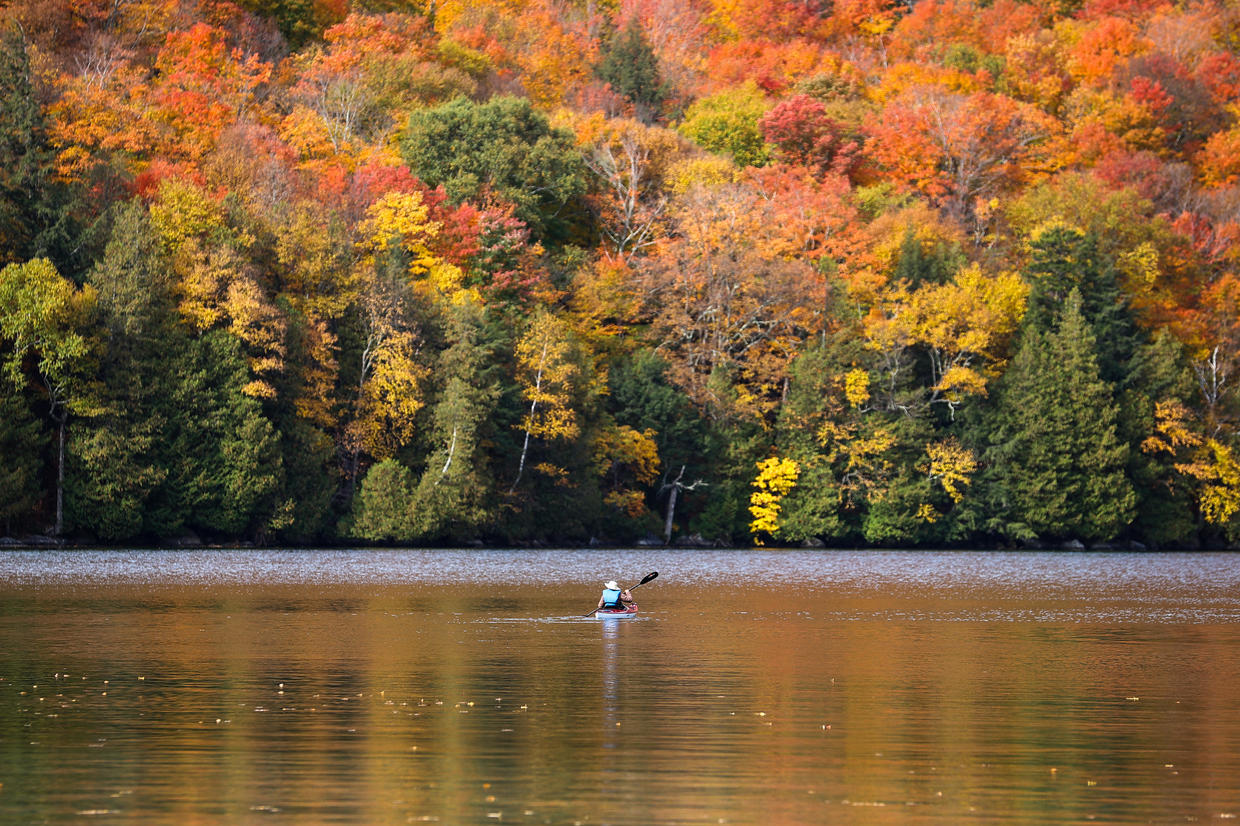 Our fall foliage forecast maps shows when leaf colors will peak in 2024