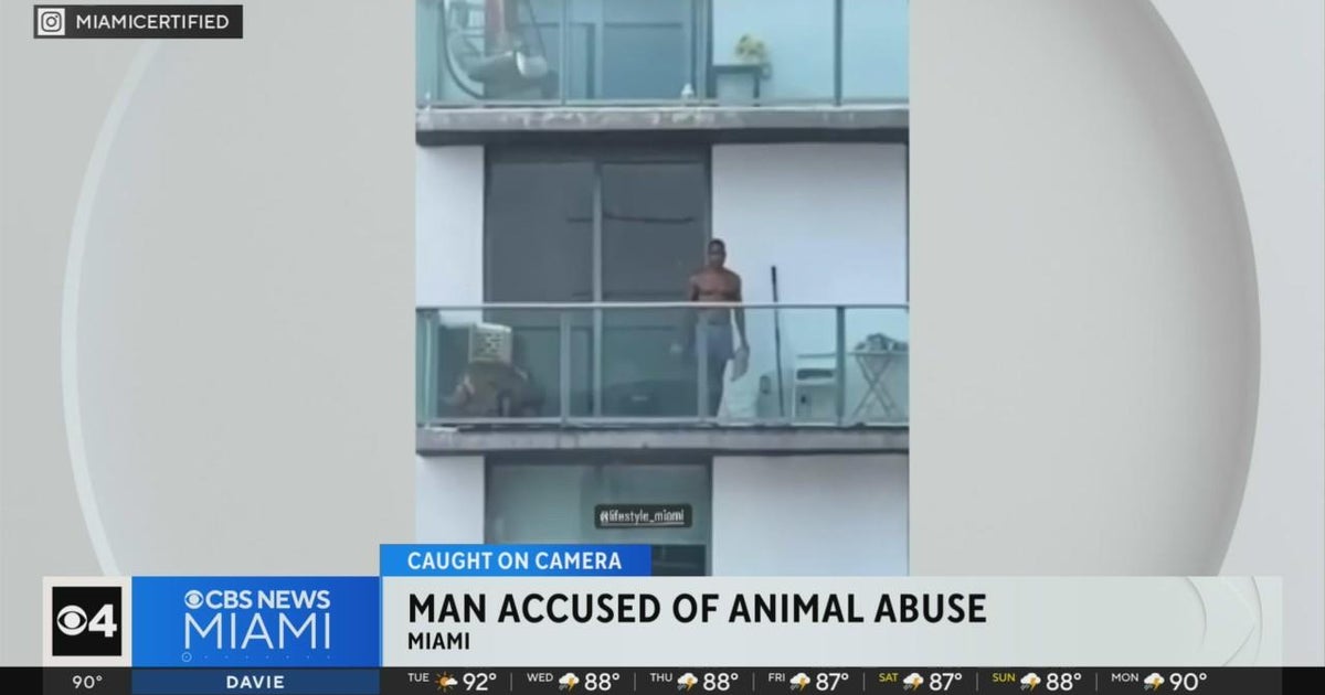 Man accused of animal abuse - CBS Miami