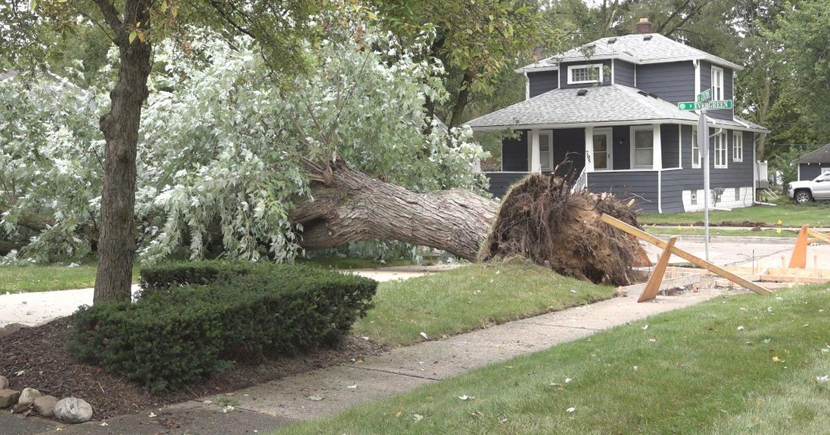 City of Plymouth struggles with widespread power outages and fallen trees after late summer storm