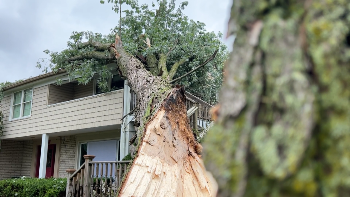 Heavy storm knocks down trees and power lines in Milford: “It happened so quickly”