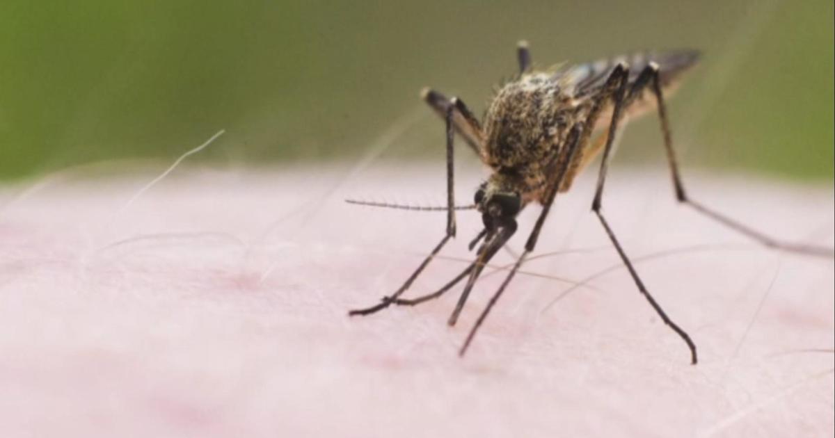 Two more West Nile virus deaths in New Jersey, US death toll rises to five