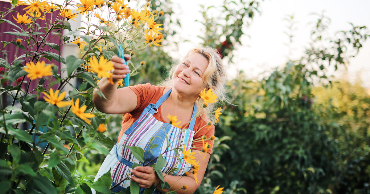 Hormone therapy can slow aging in menopausal women, study shows