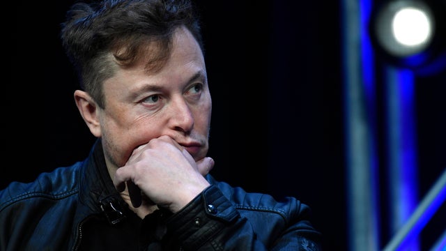 Brazil Musk