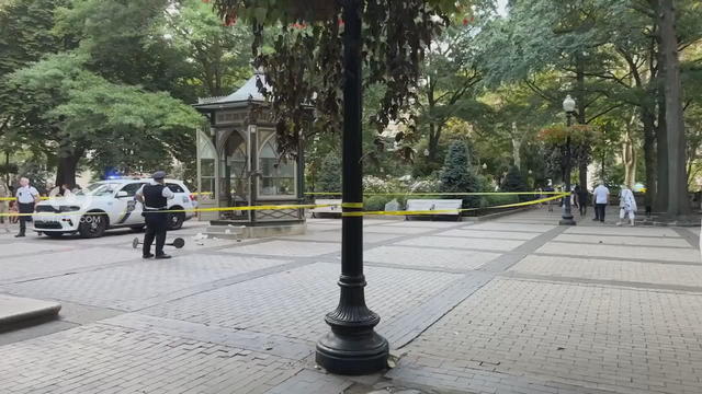 rittenhouse-stabbing-frame-0.jpg 