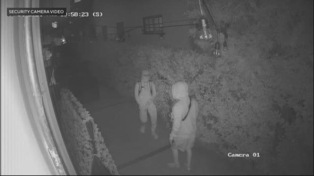 holmby-hills-burglary.jpg 