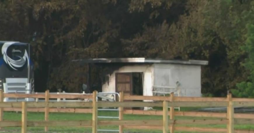 Horse dies in barn fire in Coconut Creek