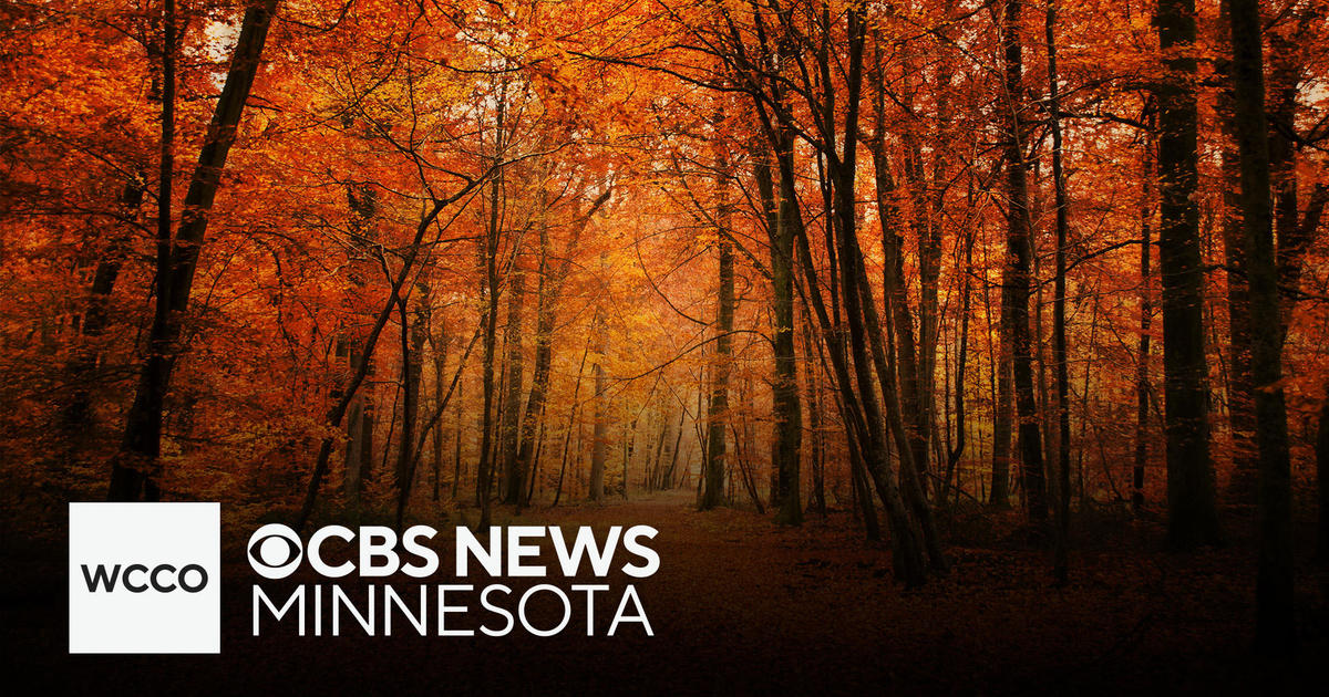 When will fall colors peak in Minnesota?