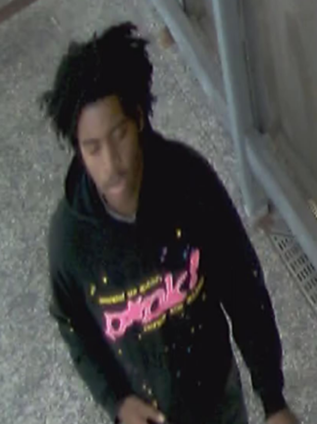 cta-green-line-robbery-suspect.png 