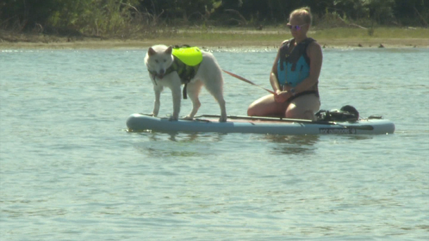 paddleboarder-citations-mha-raw-frame-19770.png 