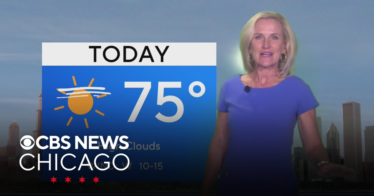 Warmer, mostly sunny in Chicago - CBS Chicago
