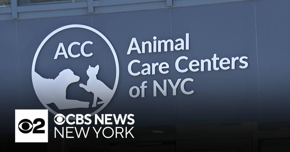 New $75 million city animal shelter in Queens overwhelmed on official ...