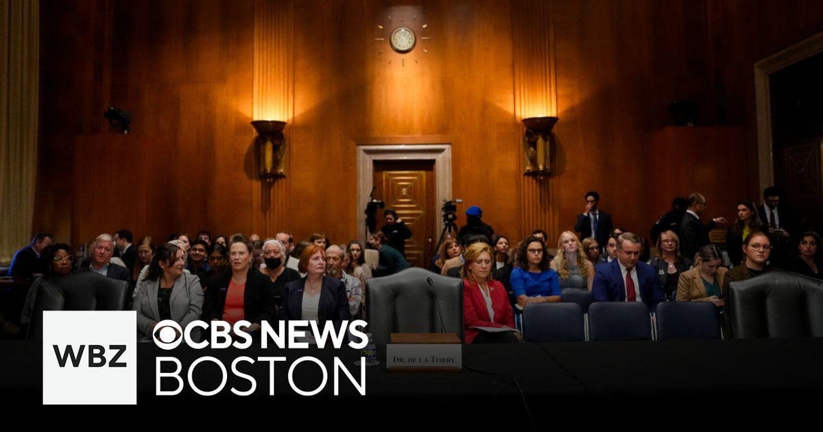 Steward nurses testify at Senate hearing where CEO is a no-show and ...