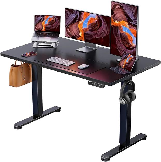 ErGear Height Adjustable Electric Standing Desk 