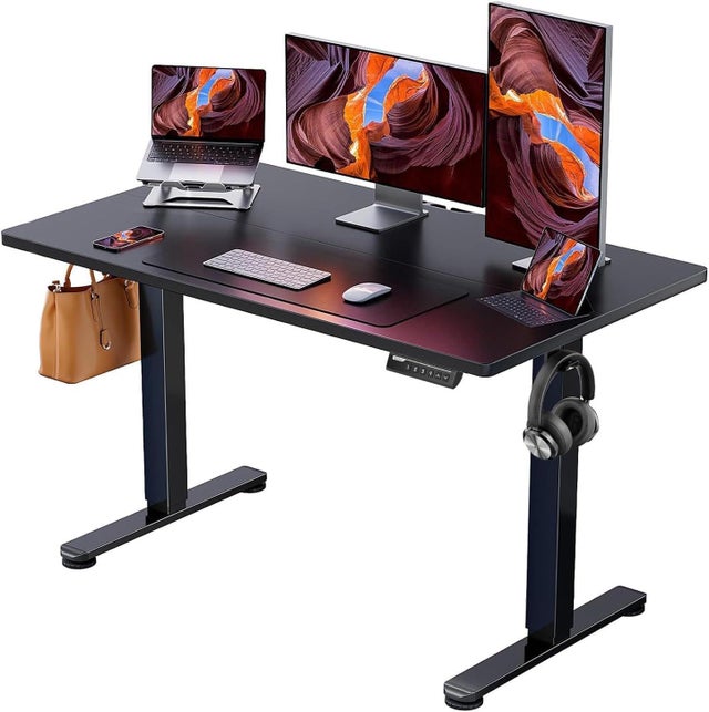 ErGear Height Adjustable Electric Standing Desk 