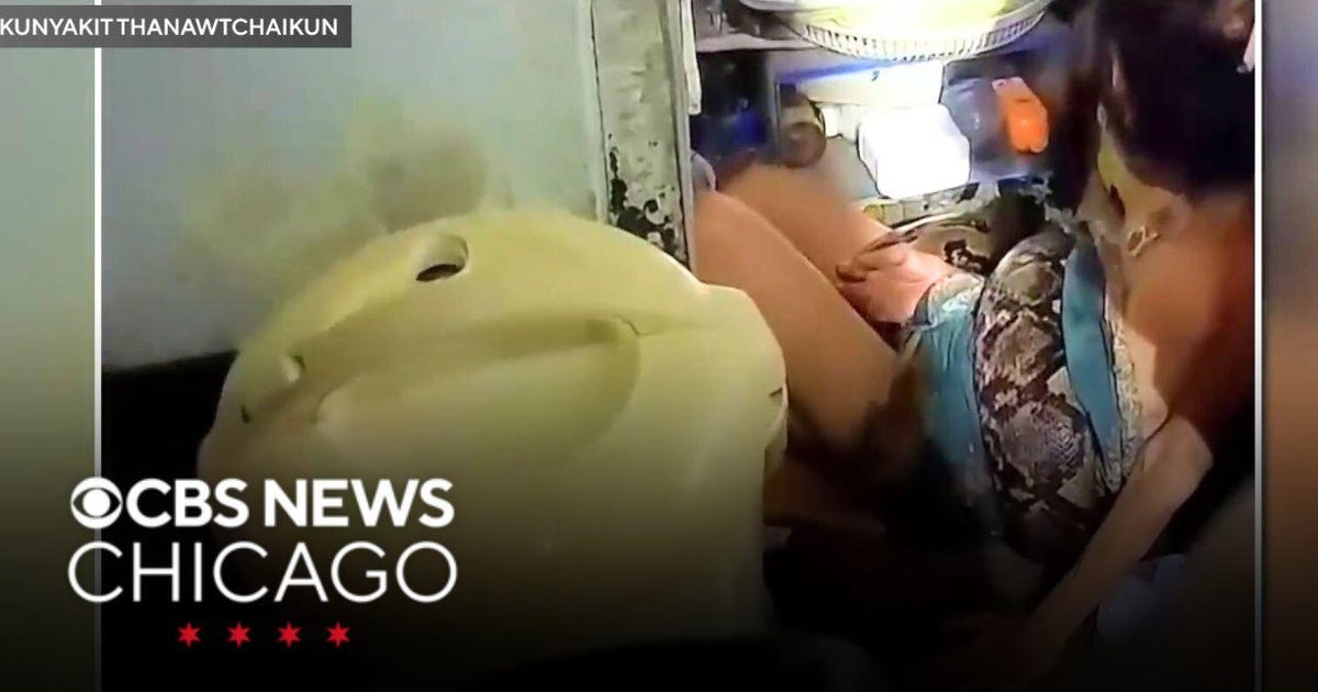 Woman strangled for 2 hours by a python - CBS Chicago