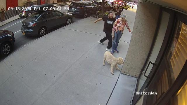 Surveillance video shows a man standing behind an elderly woman with a dog, about to punch her. 