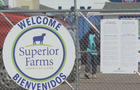 superior-farms-copy.jpg 