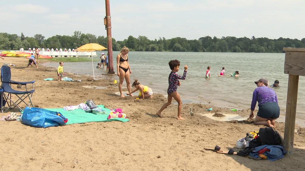 Twin Cities lakes ripe for late-summer blue-green algae blooms: 