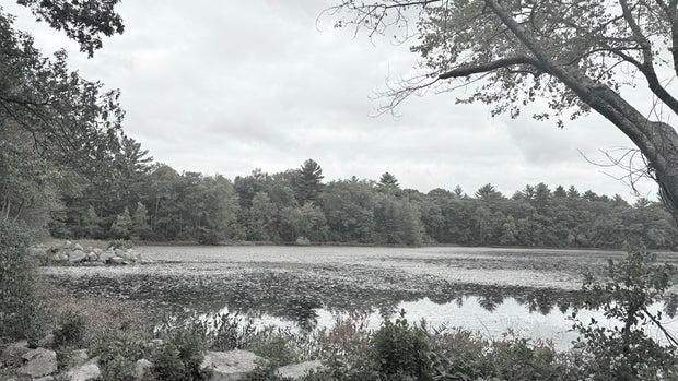 iPhone 16 Pro Max Review