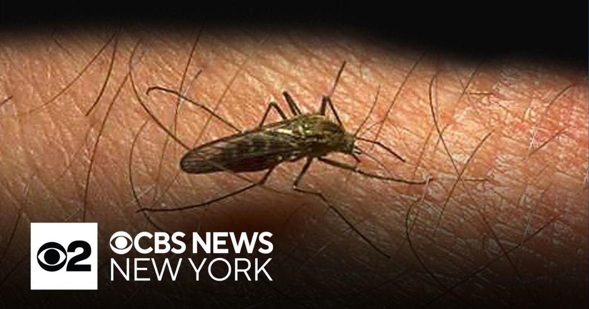 New York Declares Public Health Threat from EEE