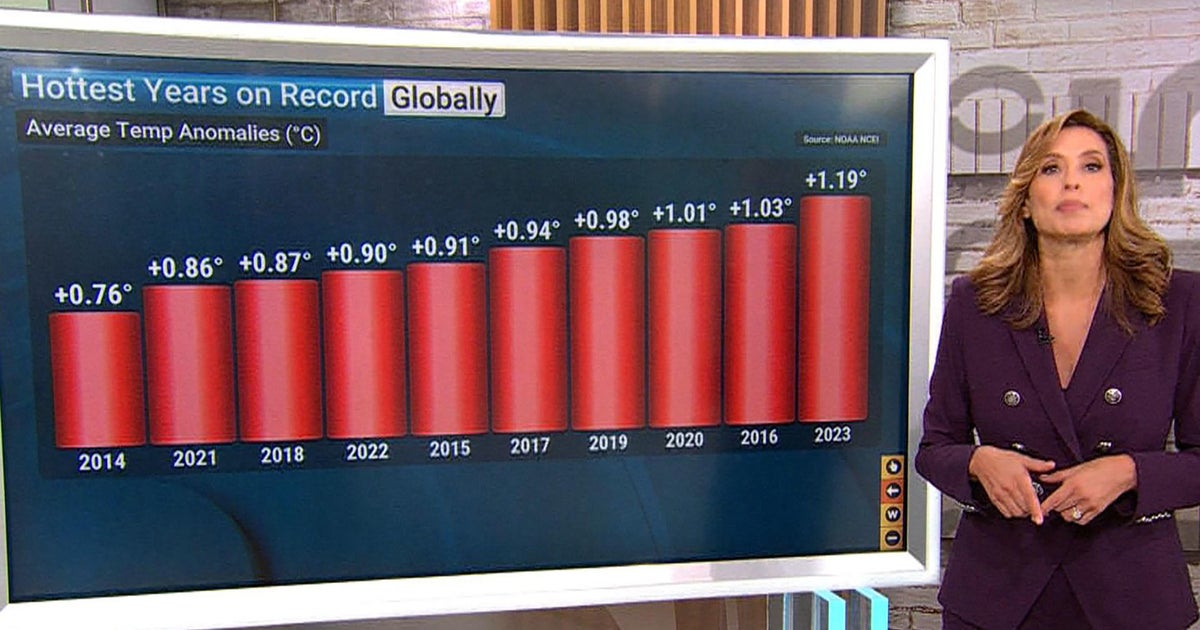Summer months were warmest on record globally, data shows