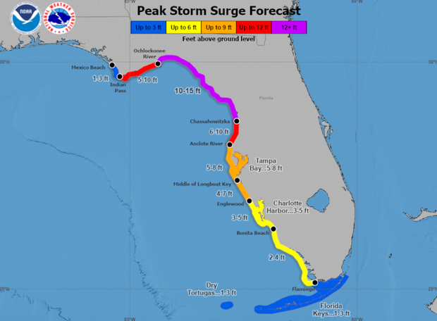 captura de tela-2024-09-24-at-12-45-00-pm.png