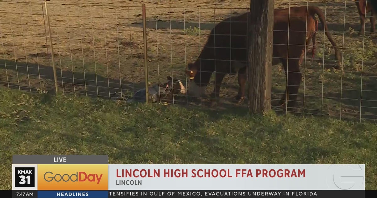 Lincoln High School FFA Good Day Sacramento