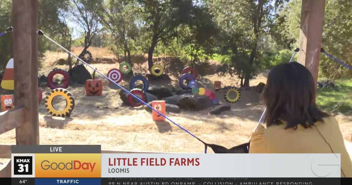Fun at Little Field Farms in Loomis! - Good Day Sacramento