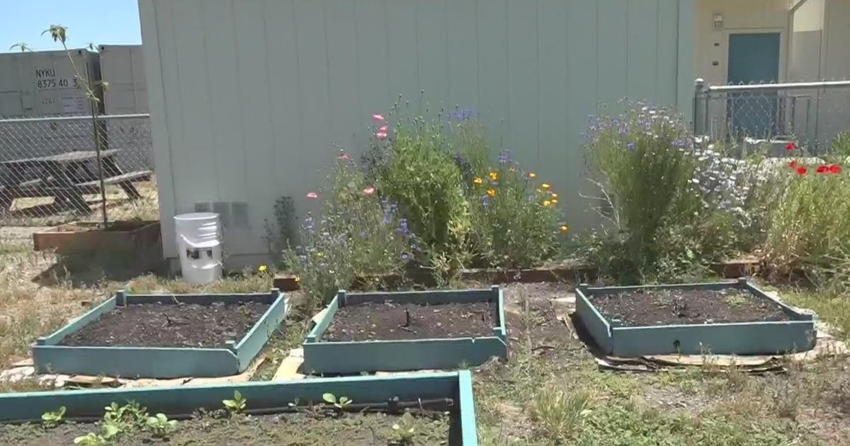 Yuba City school nutrition program sees success
