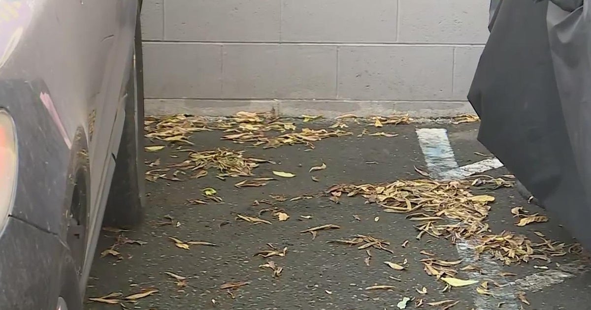 Newborn found dead in Lodi, police investigate