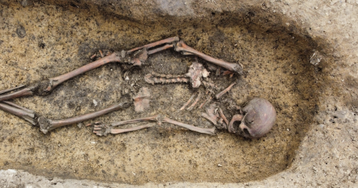 Archaeologists said they've unearthed more than 50 well-preserved Viking skeletons over the past six months, providing rare insights into how the sea-