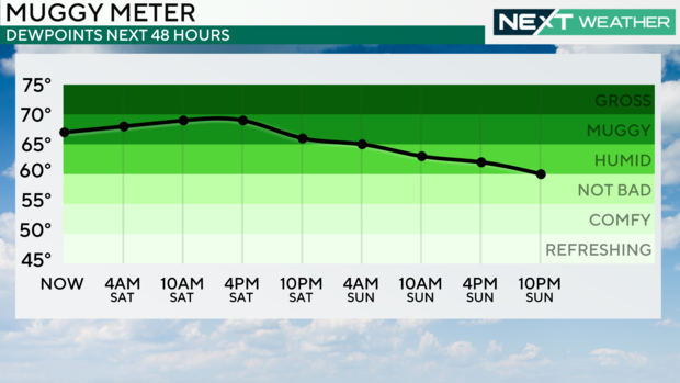 z-muggy-meter-forecast-line-graph.png 