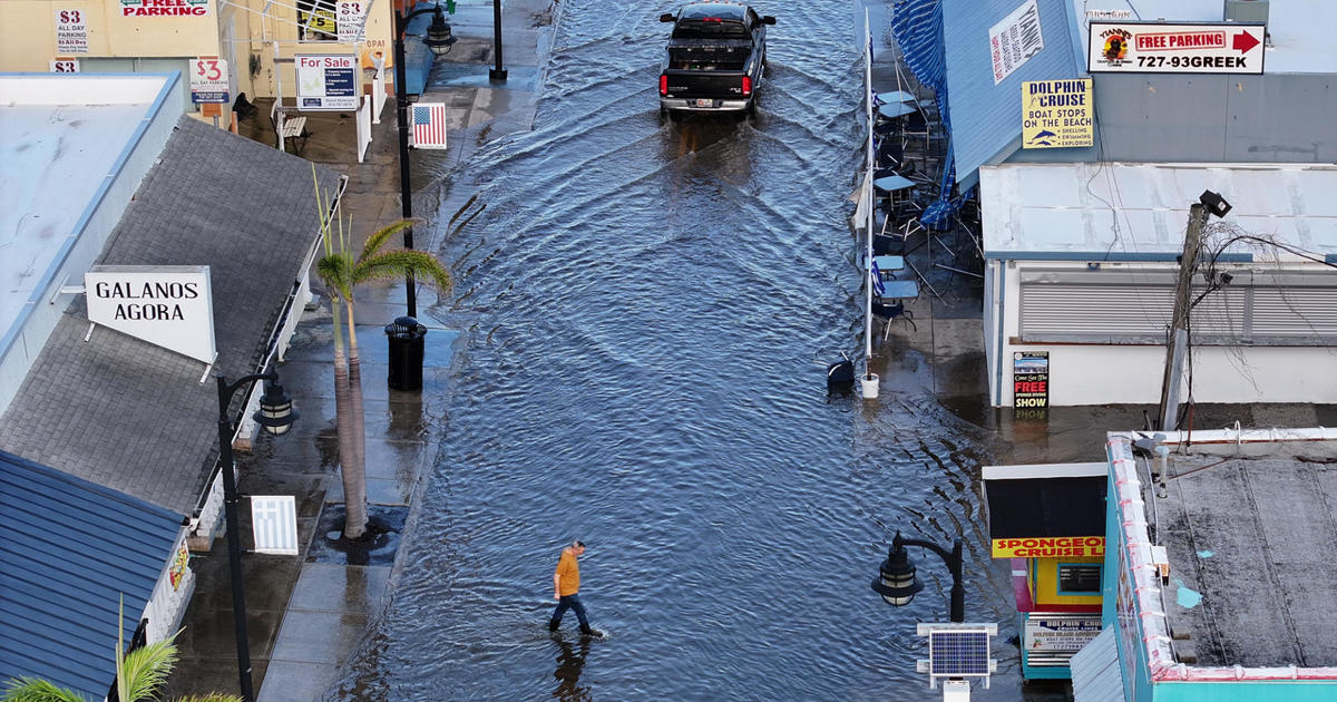 Massachusetts college student survives Hurricane Helene in Tampa – ‘undoubtedly scary’