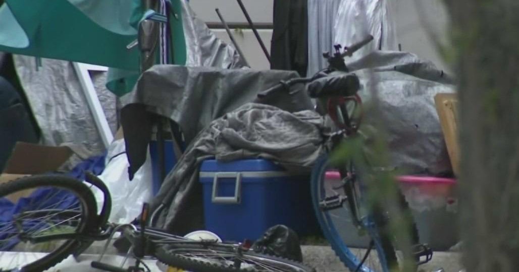 New Florida laws go into effect Tuesday - CBS Miami