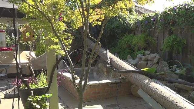 att-pole-falls-sacramento-backyard.jpg 