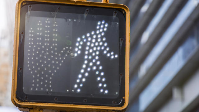 Close-up of traffic light for pedestrians. New York City, New York. 