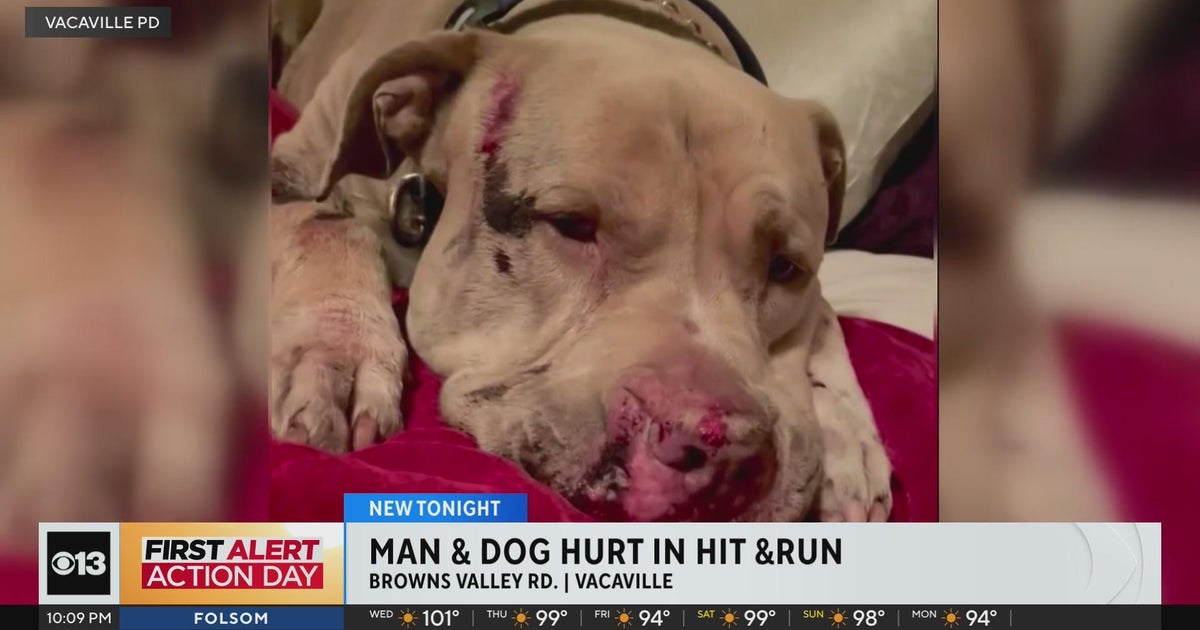 Man and dog hurt in Vacaville hit-and-run