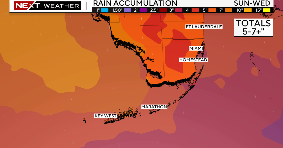 Tropical disturbance in Gulf of Mexico will bring heavy rain to South Florida Tropical disturbance in Gulf of Mexico will bring heavy rain to South Florida