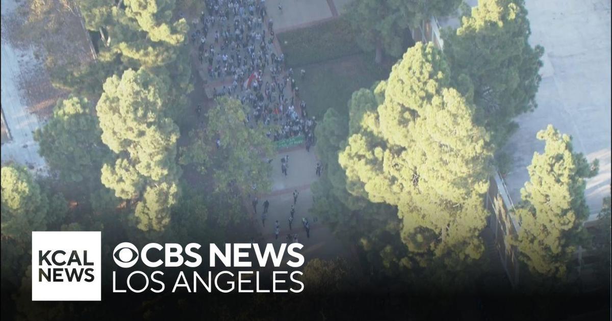 Protesters march through UCLA on the 1year anniversary of the start of