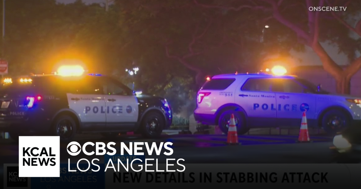 Police identify suspect who stabbed Santa Monica police officer outside ...
