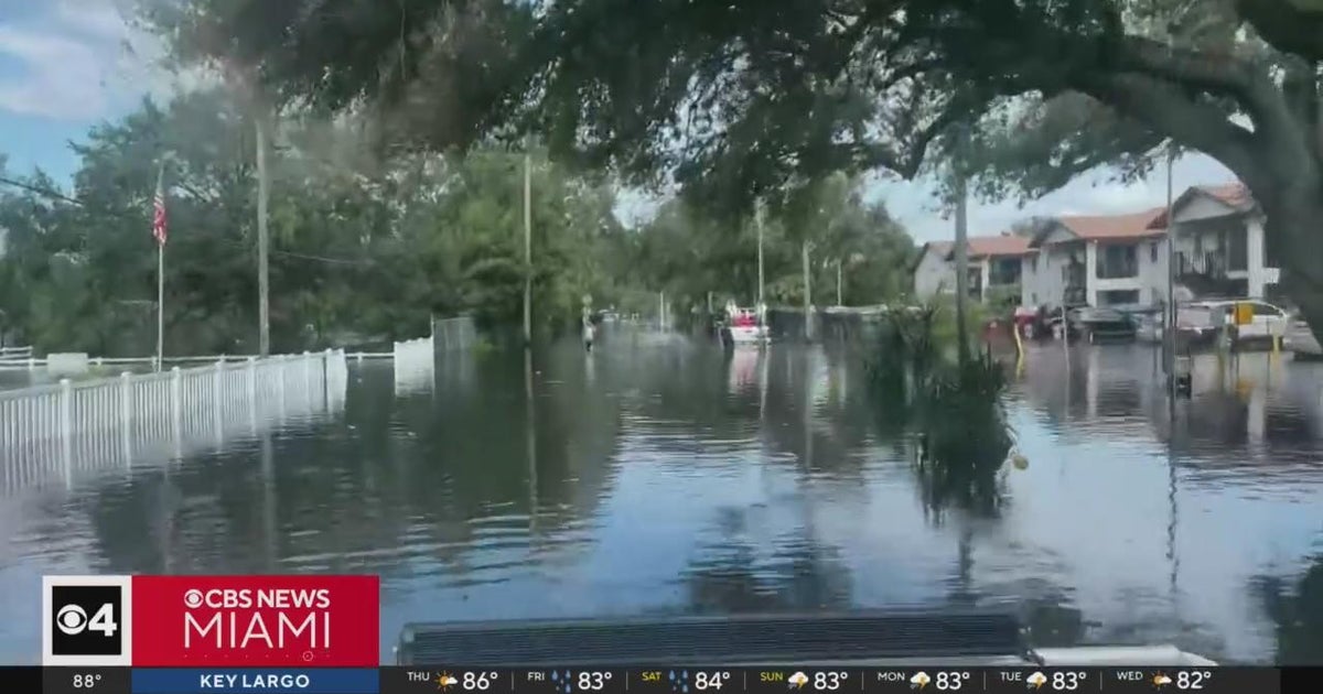 Tampa floods after Hurricane Milton as rescue and relief efforts ...