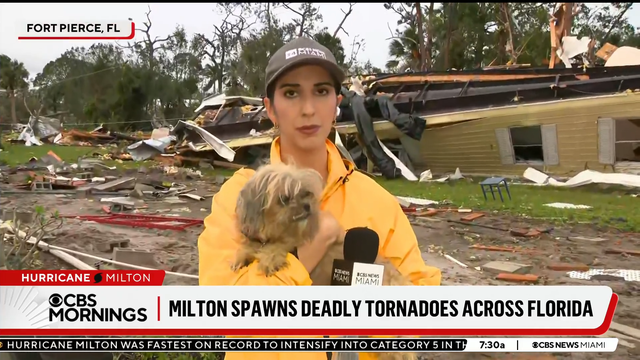 anvato-6604932-dog-named-benji-found-in-rubble-at-florida-mobile-community-after-hurricane-milton-swept-through-24-713996.png 