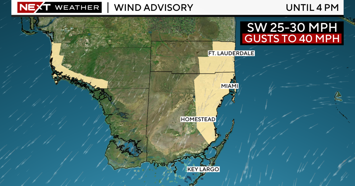 Hurricane Milton Leaves Windy Conditions in South Florida