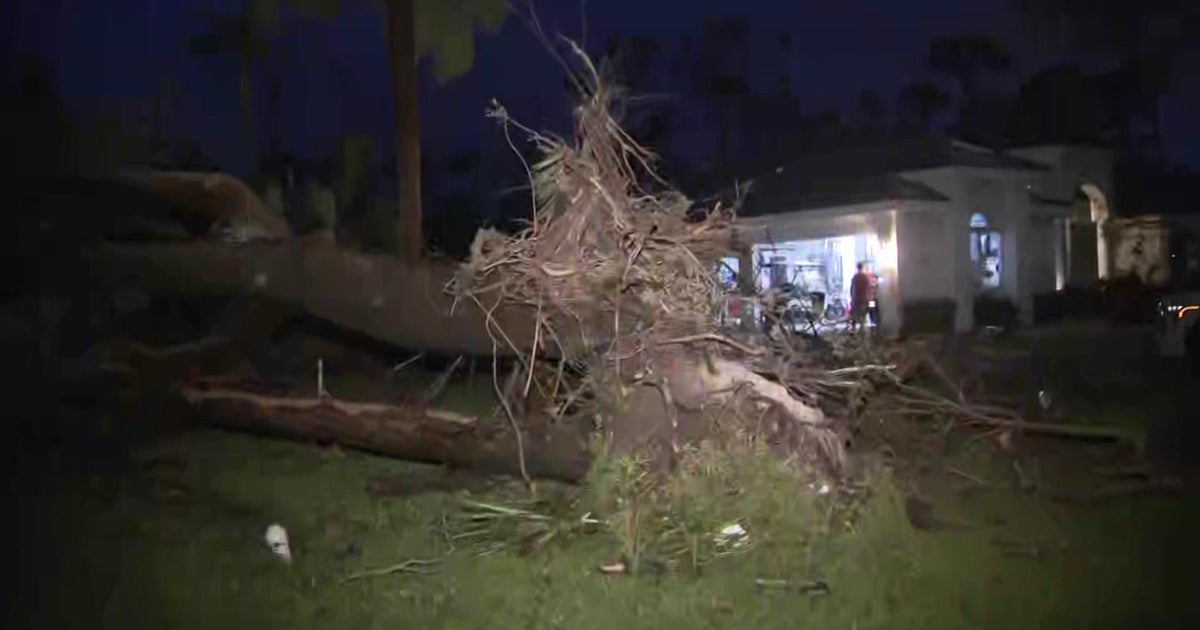 Hours before Hurricane Milton’s landfall, tornado damages homes in Wellington