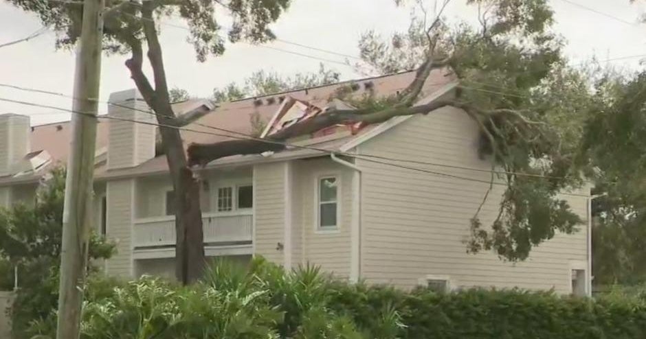 Hurricane Milton left a path of wind, flood damage in Tampa Hurricane Milton left a path of wind, flood damage in Tampa